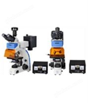 三目熒光顯微鏡