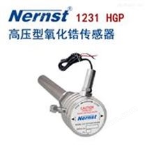 高壓型氧化鋯探頭