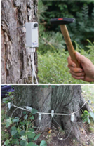 ARBOTOM聲波成像探測儀