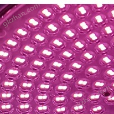 温室LED植物补光灯 –LED植物灯