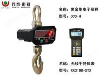 OCS-H型 黑金剛吊秤配手持儀表