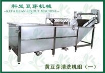 豆芽生產(chǎn)線全自動(dòng)黃豆芽清洗機(jī)