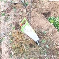 ***多功能園林施肥器批發(fā) 定植果樹追肥器視頻 陜西果園施肥器