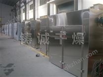 CT-C系列熱風(fēng)循環(huán)烘箱