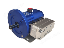 多柱塞液壓隔膜計量泵