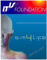 三维人体组织电磁医学仿真软件平台