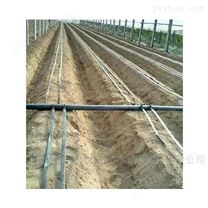 四川營山縣節水設備果樹樹木灌溉滴灌帶