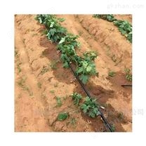 四川江安縣節水灌溉滴灌帶多少錢一米