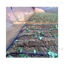 四川蓬安縣節水設備農用滴灌帶主帶旁通接頭